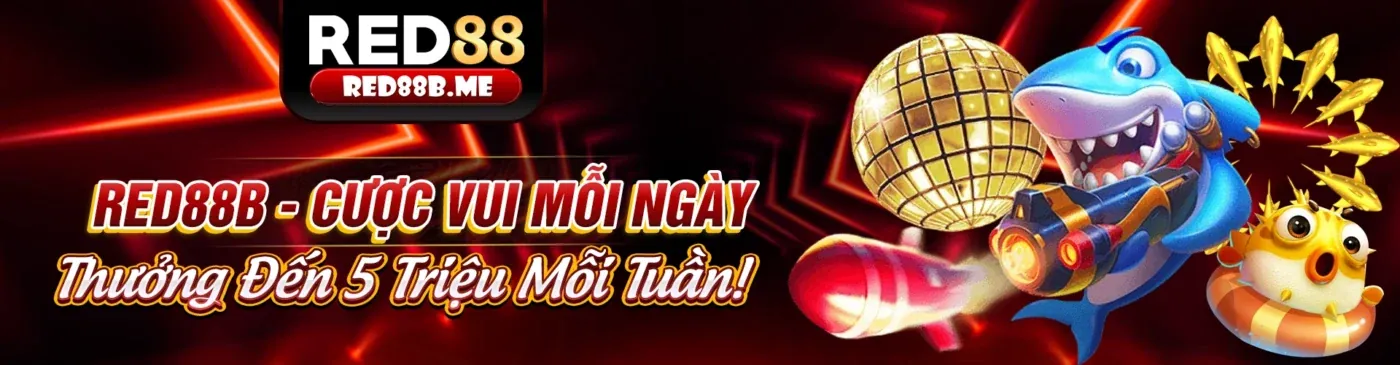 Chính sách quyền riêng tư của Kuwin02 Login - Bảo vệ dữ liệu người dùng